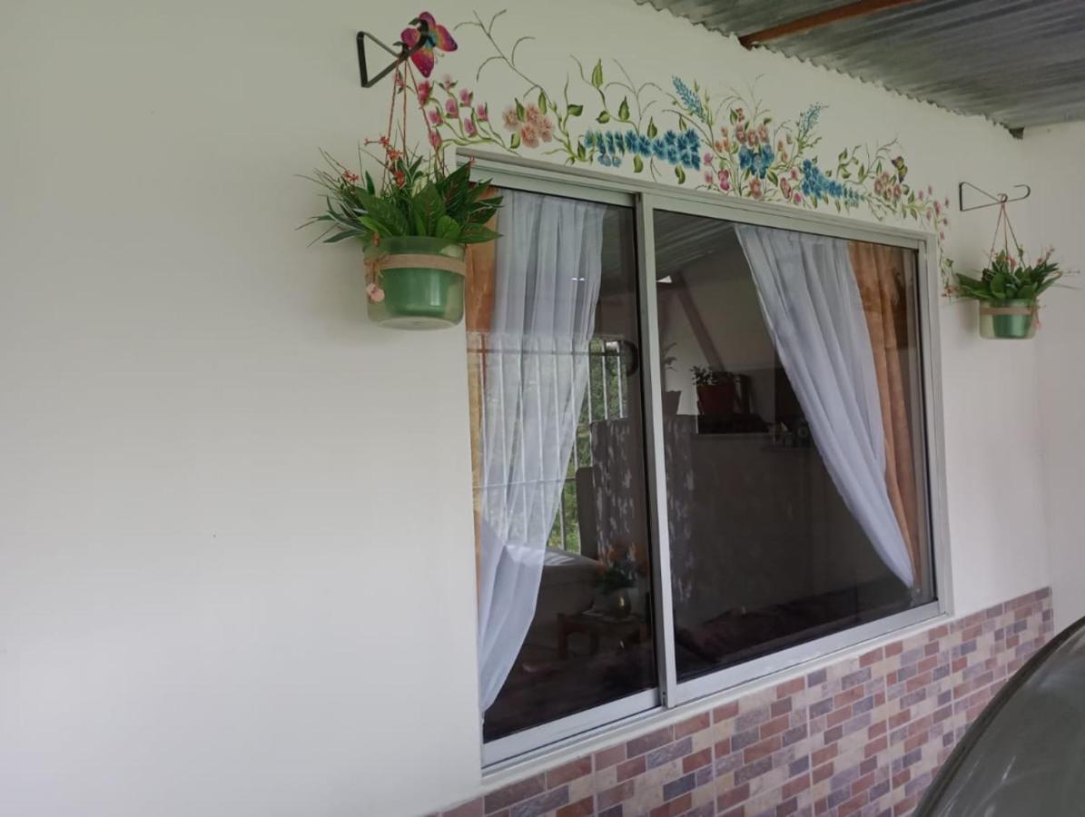 Apartment Araucarias 2